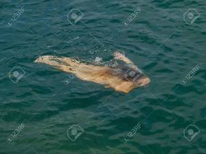 Beautiful Young Girl - underwater silhouette of beautiful young nude woman Stock Photo - 721288