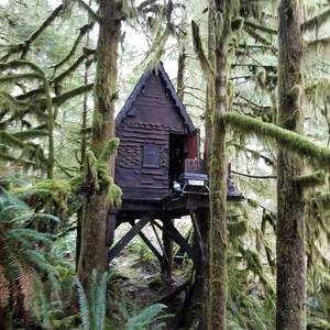 hidden cabin - A Washington park ranger set out to find a hidden cabin. He ended up  starting a child porn investigation | Globalnews.ca