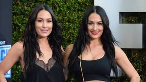 Bella Twins Have Sex Porn - 'Total Bellas' Twins Brie Bella & Nikki Bella Pregnant at the Same Time â€“  SheKnows
