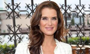 Brooke Shield Xxx Porn Captions - Brooke Shields: 'As a child, I was like a little shark sensing blood in the  water' | Movies | The Guardian