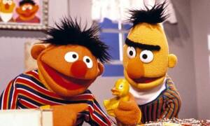 Bert And Ernie Gay Porn - Sesame Street disputes writer's claim that Bert and Ernie are gay | Sesame  Street | The Guardian