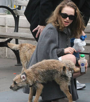 Natalie Portman Pissing Porn - Pee on Natalie Portman | Us Versus Them