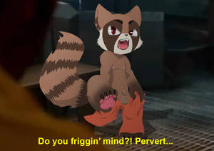 Furry Raccoon Porn Cartoon - Options