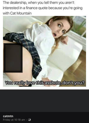 Black Porn Memes - Brisbane car loan company porn-themed ads condemned - Updated: Flash WIN!  Collective Shout