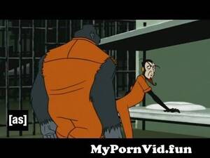 adult swim cartoon nude - Porn Needed | The Venture Brothers | Adult Swim from 3gp murgi girl porn  Watch Video - MyPornVid.fun