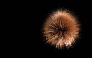 Hi Def Pussy Wallpaper - HD wallpaper: art, pussy, rendering, kosta lavrinuk, Yeti Fur test |  Wallpaper Flare