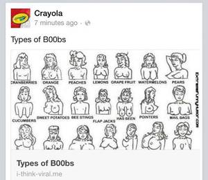 Crayola Porn - Uhm, a bit too early to be teaching children about â€œthe birds and the beesâ€  when they can barely grasp a crayon properly, no?