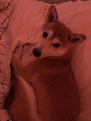 American Dad Porn Pov - American dad francine porn pov xxx - This media may contain sensitive  material learn jpg 900x1200