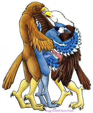 Male Bird Furry Porn - e621 anal anthro avian bald_eagle balls beak bird blue_jay corvid cum  cumshot eagle ejaculation erection eyes_closed