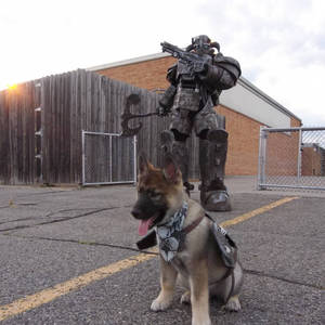 Fallout Dogmeat Porn - Nordic Power Armor (Fallout 4 Mod), ft. Dogmeat cosplay