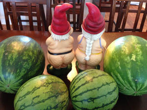 crystal beach texas nude - Everyone meet Betty Booty and Donny Dimples our pair of naked gnomes. They  were born in the small town of Crystal Beach in Texas.