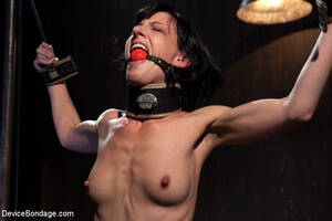 elise graves - Elise Graves in Devicebondage Elise Graves â€“ Harsh Treatment and  Predicaments Noir Style â€“ by The Pope! April 27, 2012 Gag, The Pope