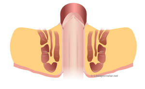 Bottom Porn Stars - How To Bottom Like A Porn Star - Like A Pornstar