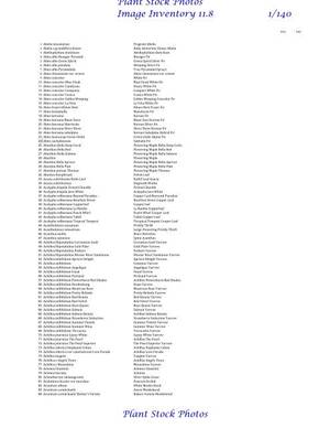 Fox Vicia Hairy Porn Bikini - Plant Stock Photos Inventory List