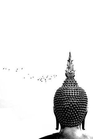 Black Amateurography - Dopeâ€¦Great Buddha of Thailand, Wat Muang Monastery - Thailand