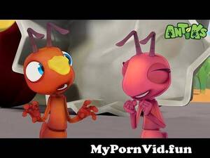 funny cartoon characters xxx - Cupcake Cream! ðŸ”´NEW EPISODEðŸ”´| Funny Cartoons For All The Family! | Funny  Videos for kids | ANTIKS ðŸœ from www xxx catun videos comangal Watch Video  - MyPornVid.fun