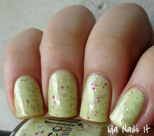 Cats Amateur Porn - Scofflaw Indifferent Cats in Amateur Porn