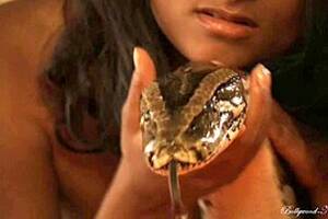 Indian Snake Dance Porn - Dance with the snake, leaked Indian porn video (Aug 12, 2013)