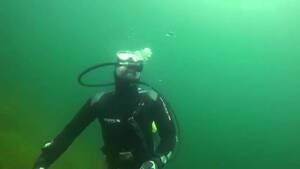 Diving Bear Porn - Scuba diver jerking off below - ThisVid.com