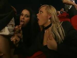 hedonism iii party - Hedonism at a super sexy orgy - Pornjam.com