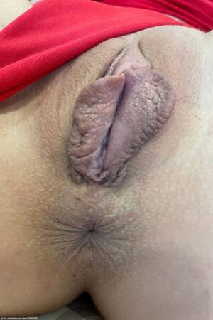 Close Up Pussy Milf - MILF Close Up Pussy Porn Pics & Naked Photos - PornPics.com