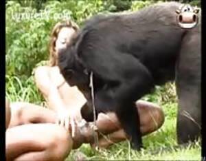 Monkey Cum Porn - Monkey masterbate - Extreme Porn Video - LuxureTV