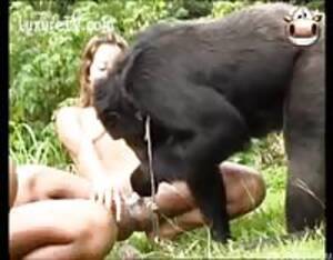 Monkey Sex With Humans - Zoophilia monkey - Extreme Porn Video - LuxureTV