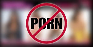 Blocked - Most of the people (business man or parents) want to block porn sites on  their home & office system to keep their employees and children away from  porn ...