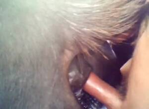 Man Fucks Mare Anal - Anal With Mare 1 GayBeast.com - Animal Man - Extrem Sex and Taboo Porn.
