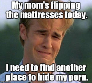 My Porn Meme - Pepperidge Farm remembers when getting porn was hard. | My mom's flipping  the mattresses today