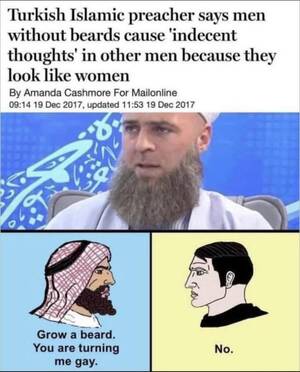 Muslim Beard Gay Porn - Cringe and closet-pilled : r/PoliticalCompassMemes