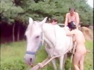 mare orgy - Men goat and mare fuck orgy - Zoofilia Videos - BestialZoo