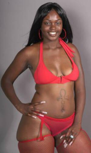 Black Porn Star New Jersey - New Jersey Pornstar Profile - PornZog Free Porn Clips