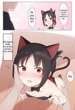 ecchi breasts - Ecchi Nekomimi no Kaguya-sama - Kaguya-sama wa kokurasetai Small Tits Porn  Full Color Hentai - Hentaimedia.net