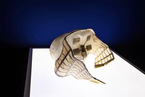 Anna Silk Celebrity Porn - Is Sex Tech the Next Feminist Frontier?