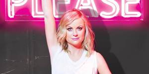 Amy Poehler Celebrity Porn - HarperCollins