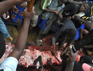 Mozambique Porn - All photos and text from Rudy and Brenda Franck, Pemba Dive Camp, Pemba  Mozambique