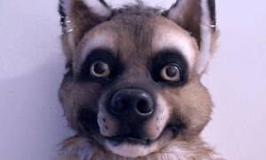 Bbw Furry Porn Forced - It's not about sex, it's about identity: why furries are unique among fan  cultures | Fancy dress and costume | The Guardian