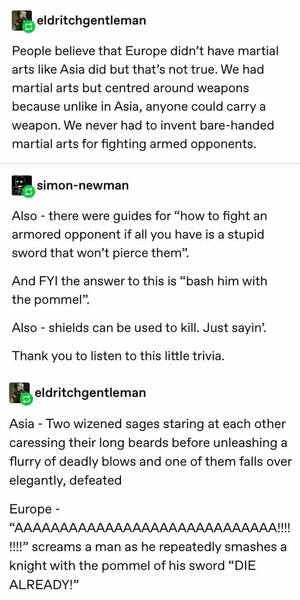 Asian Straight Porn Tumblr - European martial arts vs Asian martial arts. : r/tumblr