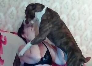 Mature Amateur Pet Porn - Mature Videos / Zoo Zoo Sex Porn Tube / Most popular Page 1