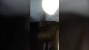 Black Gay Drunk - Drunk black guys fucking secretly in the parking lot