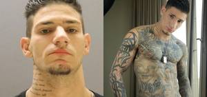 Crystal Meth Gay Porn Stars - 