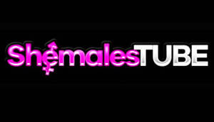 free shemale on shemale - Watch shemale porn videos 2024 - Watch free trans porn videos - Mrpornlive