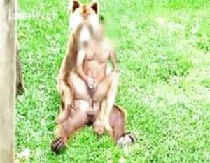 Beer Bear Porn - Zoo bear - Extreme Porn Video - LuxureTV