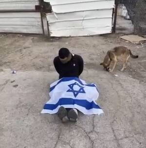 misspalestine cam show sex - IDF soldiers film themselves abusing, humiliating West Bank Palestinians |  The Times of Israel