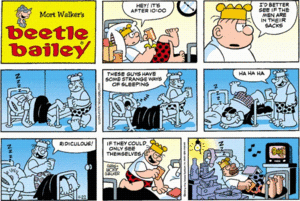 Beetle Bailey Sarge Porn - The Comics Section: Beetle Bailey: If they could only see themselves.