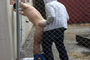 Amateur Boys Fucking - Two amateur boys fuck each other in the alley - gay porn at ThisVid tube