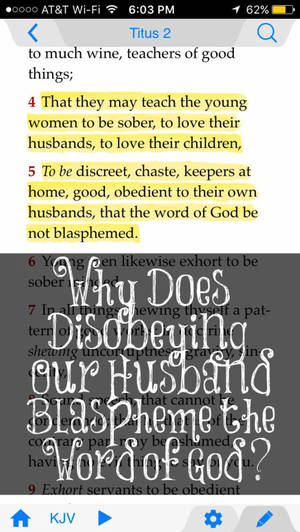 Holy Spirit Blasphemy Porn - We are told in Titus 2:5 to be obedient to our husband so the Word of God  be not blasphemed. Why is this the case? How can disobeying our husbands  blaspheme ...
