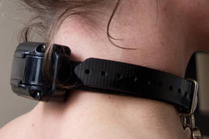Belt Bdsm - Dogtra IQ-Plus Remote Collar