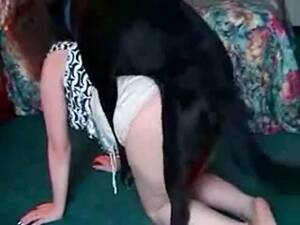 Mom Bestiality Porn - Always horny mom gets her cunt stretched good in this hot xxx bestiality  movie with a K9 - LuxureTV